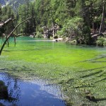 Lac vert, vallée étroite (2)